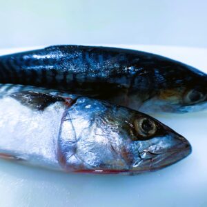 Mackerel Titus, Half A Box Bag, weighing 10kg